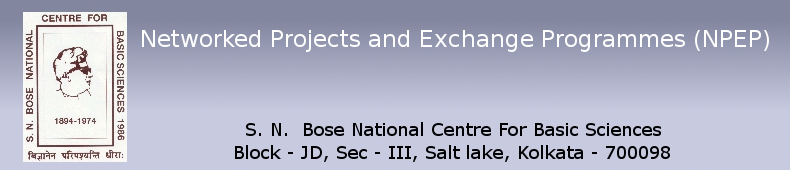 Networked Projects and Exchange Programmes (NPEP)